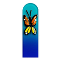 Butterfly on Assorted Color File