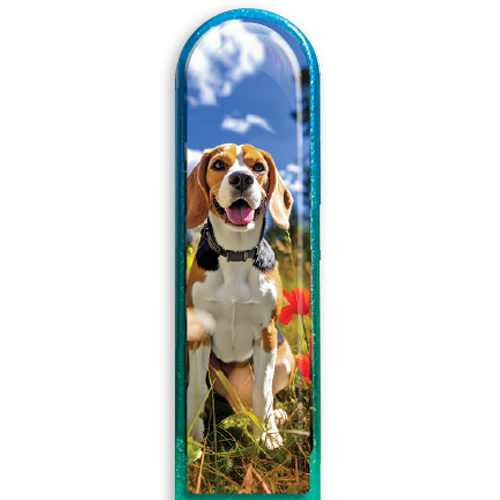 3D Beagle