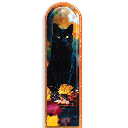3D Black Cat
