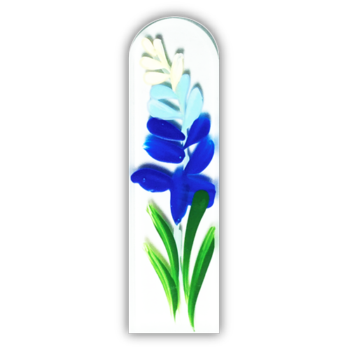 Blue Bonnets