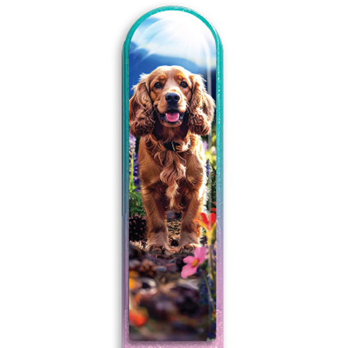 3D Cocker Spaniel