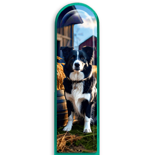 3D Collie