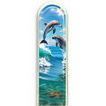 3D Dolphins