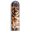 3D German Shepherd