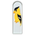 Gold Finch