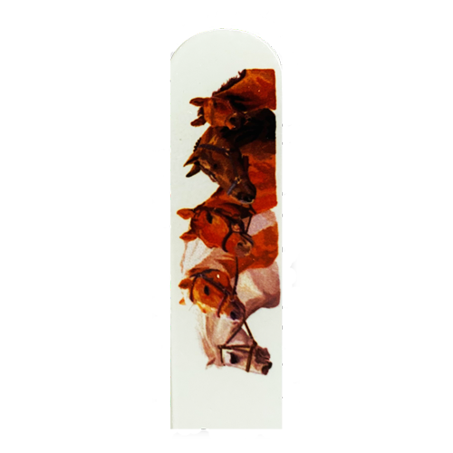 Horses Photo Printed