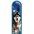 3D Husky