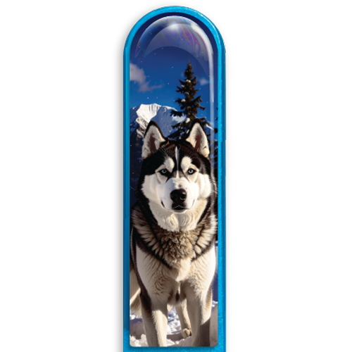 3D Husky