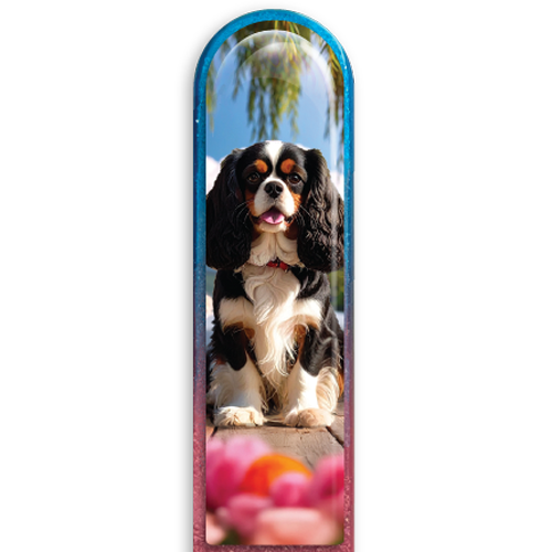 3D King Charles