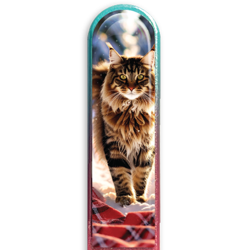 3D Maine Coon