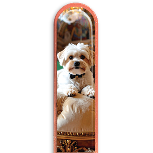 3D Maltese