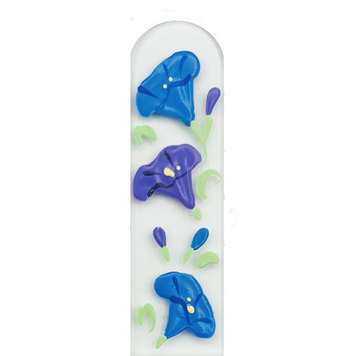 Morning Glories