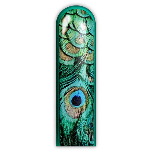 3D Peacock
