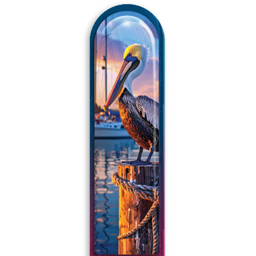 3D Pelican