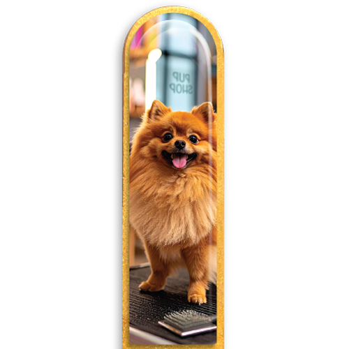 3D Pomeranian