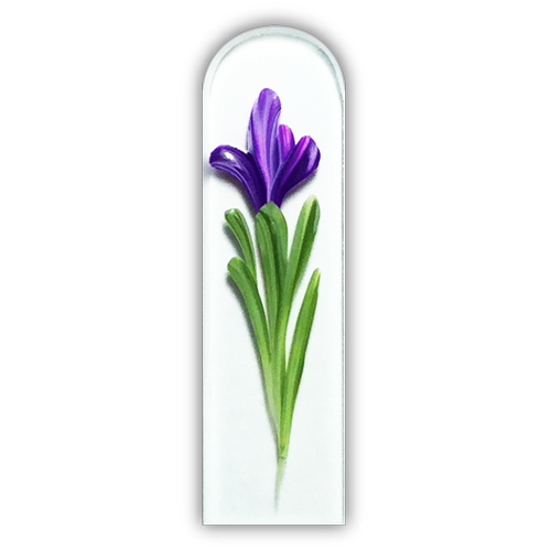 Purple Iris