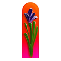 Purple Iris on Assorted Colored Files
