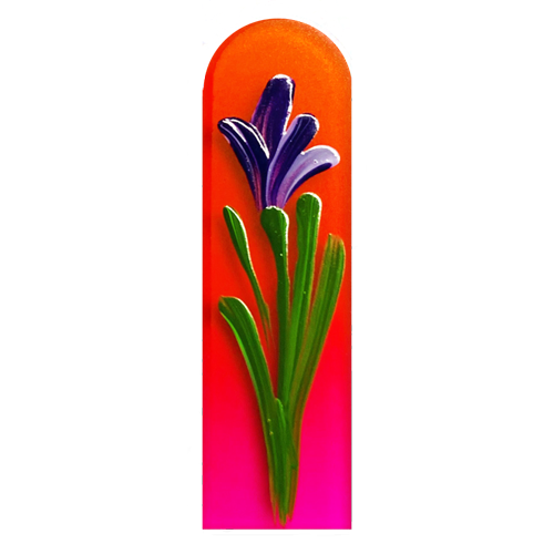 Purple Iris on Assorted Colored Files