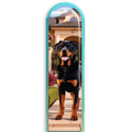3D Rottweiler