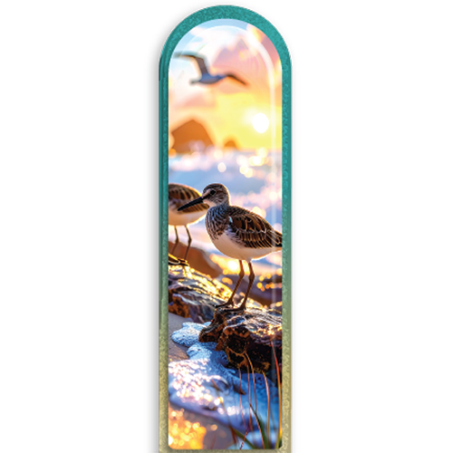 3D Sandpiper