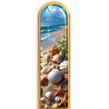 3D Seashells