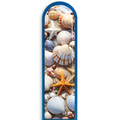 3D Seashells 2