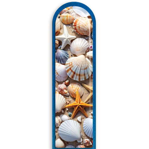 3D Seashells 2