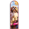 3D Shihtzu