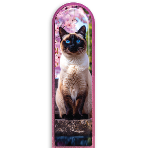 3D Siamese