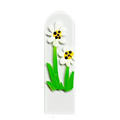White Daisies