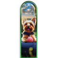 3D Yorkie