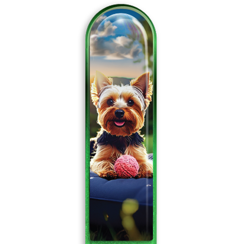 3D Yorkie