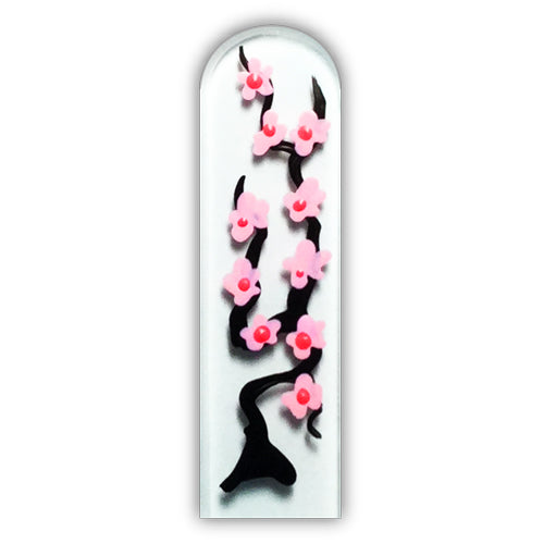 Cherry Blossoms